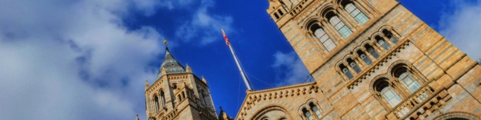 Triumphant chelsea had win conference league says captain james