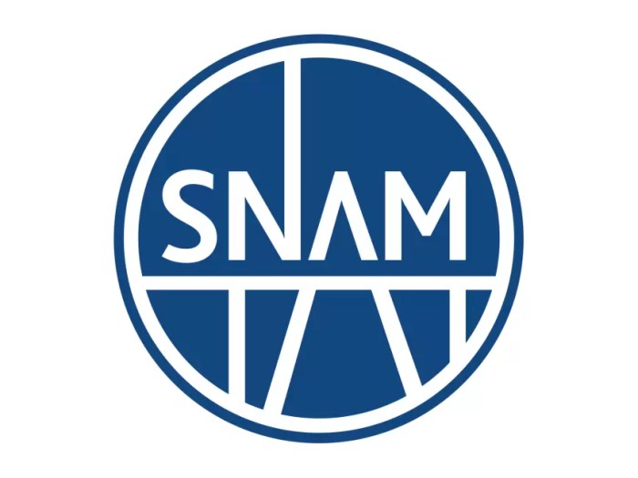 SNAM Report di Sostenibilità 2020 - Emissioni indirette di CO2eq da ... Snam ceo stefano venier step down