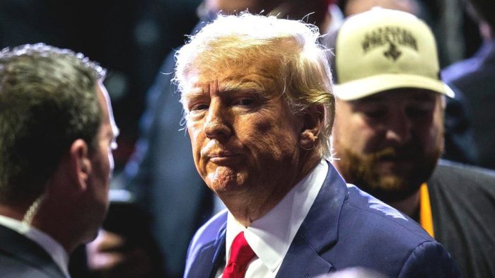 Trump expected to visit Capitol Hill next week amid House speaker race ... Trump musk induced tesla slide points market risks massive stocks