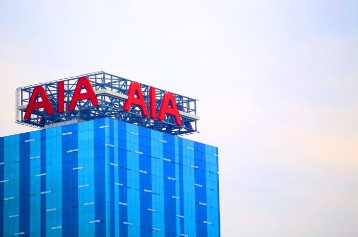 AIA shares rise in HK as investors welcome new CEO Aia group appoints former hsbc executive mark tucker new chair