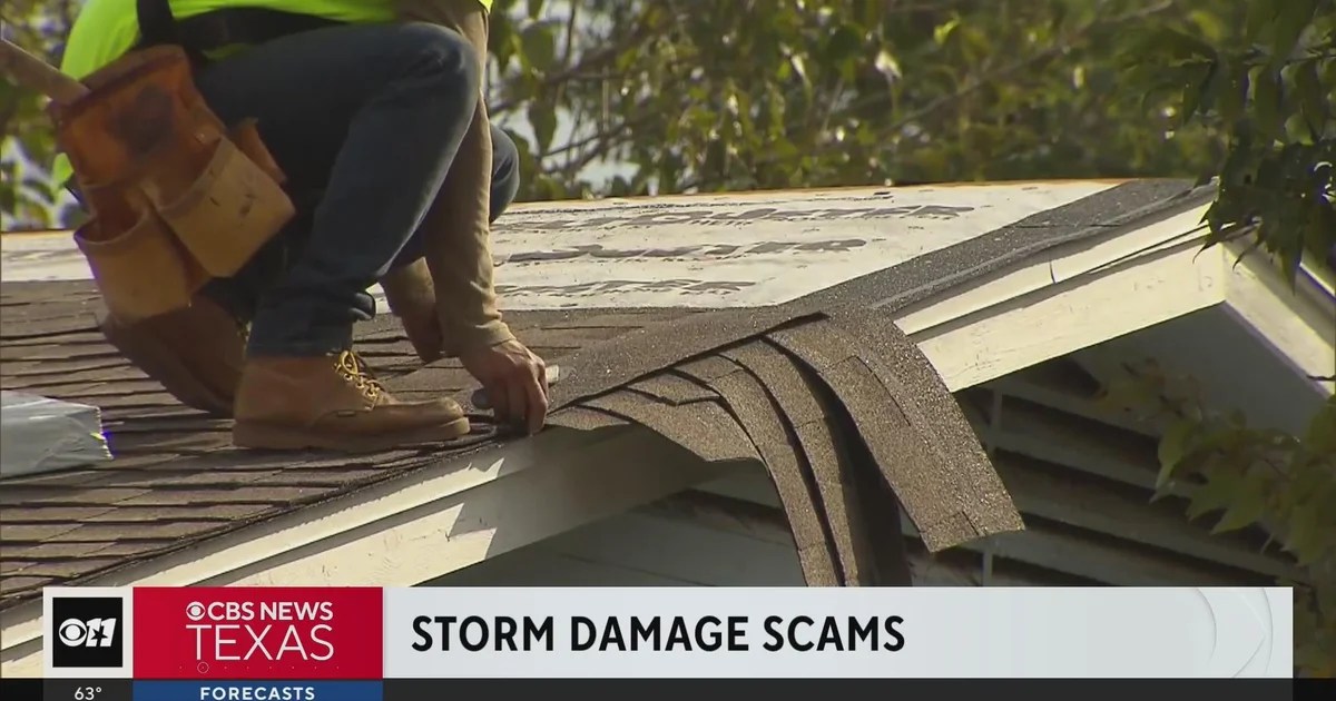 STORM DAMAGE ASSESMENT | Structural Inspections Reports league reviewed not investigating complaint against storm assistant