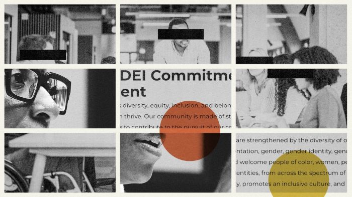 DEI programs under fire | The Week How to address global complications of the dei backlash