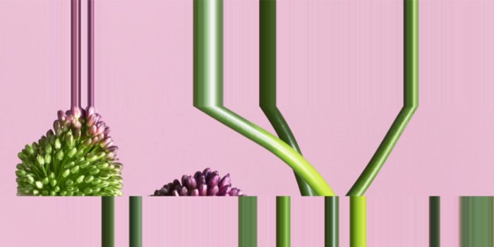 10 practical ways you can reduce climate change according to ai