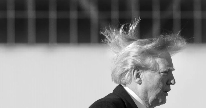 First Amendment advocates sue Donald Trump for blocking Twitter users ... Wind opponents sue trump administration block new york wind project