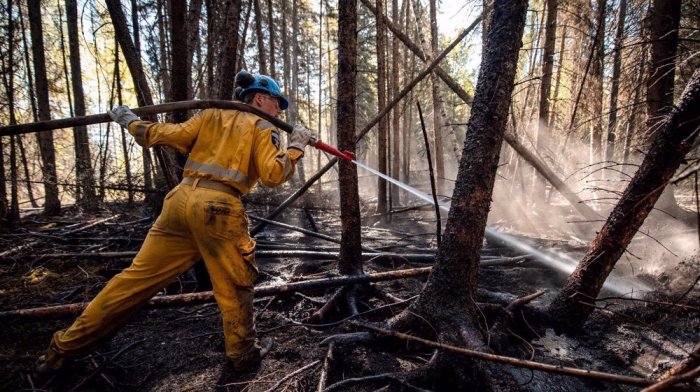 Oil in Alberta Jumps Most This Year as Fires Shut Output - Bloomberg Albertas wildfires disrupt some 7 canadas oil production