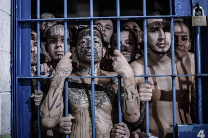 El Salvador’s offer to take in US deportees and violent criminals is ... Hundreds venezuelans deported el salvador have right challenge detention judge