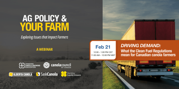 Tariffs canola seen supercharging canadian farmers shift spring wheat