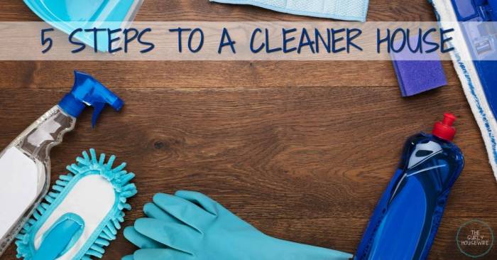How to Clean a House (with Pictures) - wikiHow What to clean house bacteria