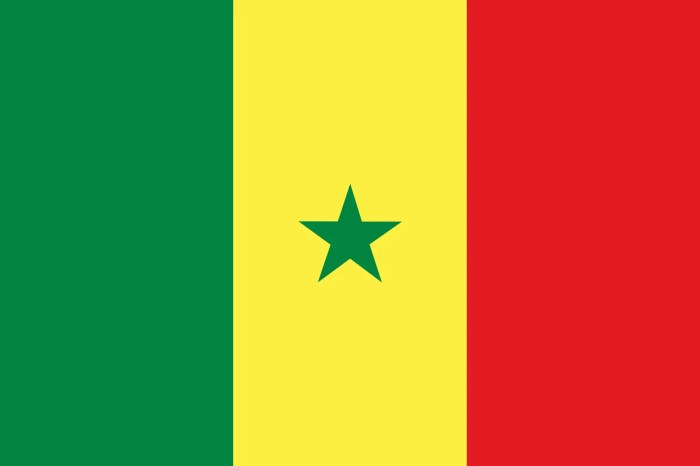 Mane miss senegal matches against ireland england