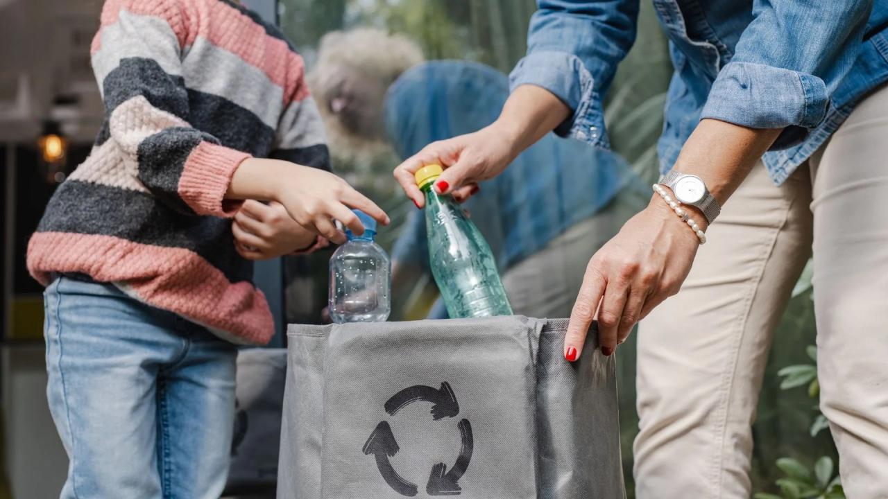 How Going Green Benefits The Environment With right support green solutions can thrive power better world