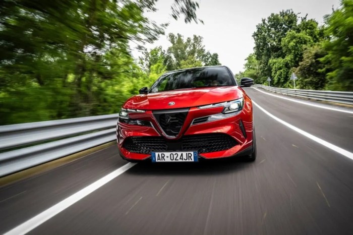 Alfa Romeo Junior exceeds 40,000 orders: electric version also ... Junior caminero rays aim continue hot streaks vs rangers