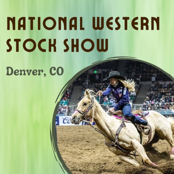 National Western Stock Show 2025 - Denver, CO | Eventlas West plans push iaea board find iran breach duties diplomats say