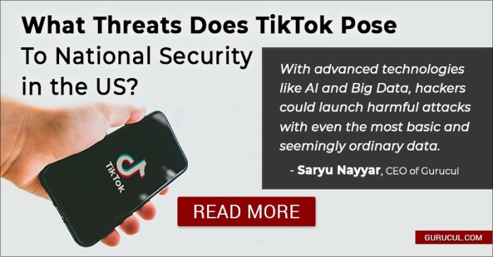 Is TikTok really a national security threat? Deepseek national security threat tiktok