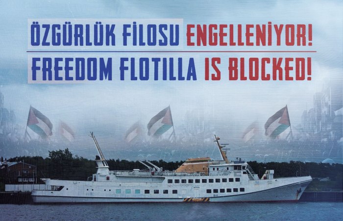 Freedom flotilla greta thunberg gaza ship intercepted