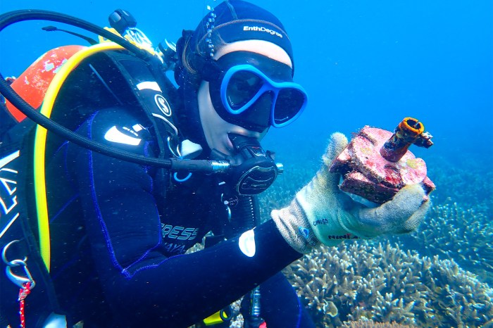 Are we going to save the world coral reefs using reef restoration ... How we can restore coral reefs