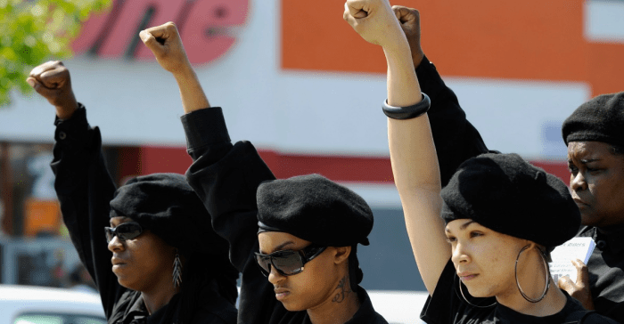 Black Panther Party Civil Rights Love Pride Community African American ... Black panther partys legacy of communal love