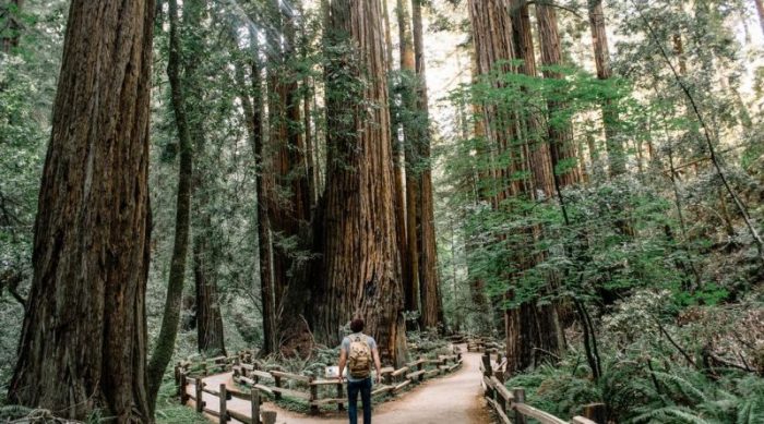 Top 10 Largest National Parks in the World - All Top Everything Top 10 national parks in the world according to ai