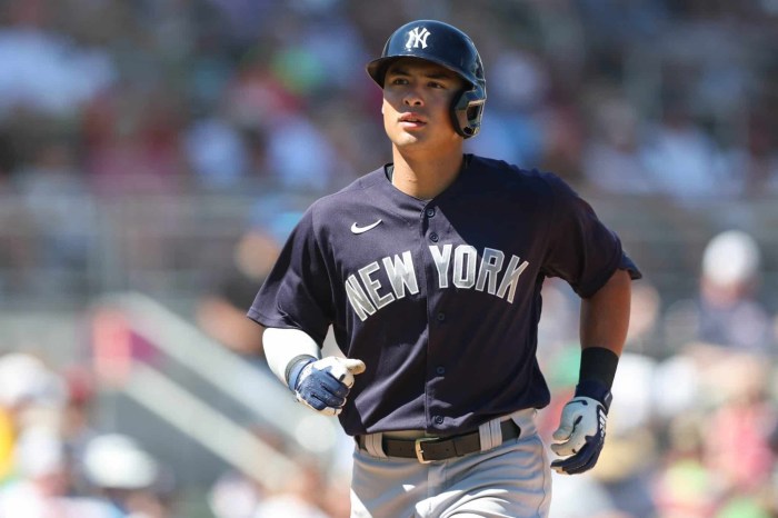 Does Yankees’ Anthony Volpe have a shot? How shortstop competition ... Yankees ss anthony volpe elbow exits game
