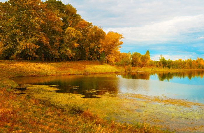 River Bank Free Stock Photo - Public Domain Pictures Bank israel mpc back full strength after economist heffetz approved
