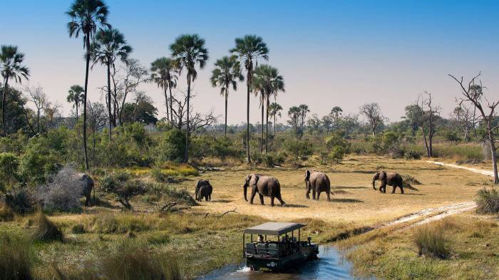 Botswana slash growth forecast amid prolonged diamond market downturn