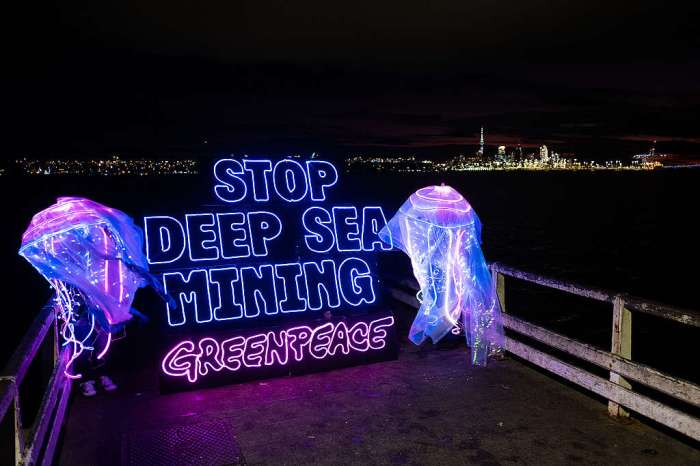 What's deep-sea mining? Risks and challenges of the new industrial frontier Deep sea mining economics dont add up