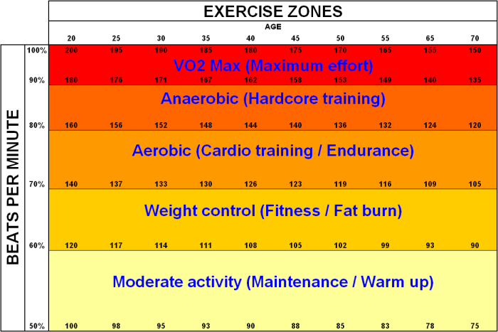 Weight loss - Best exercise to lose belly fat fast - Physical Fitness ... Rbis bigger than expected rate cut is its last move year economists say