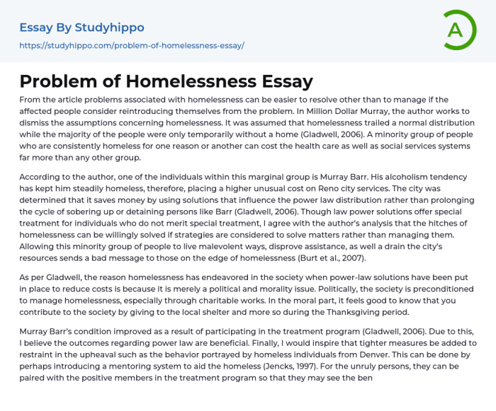 A Journey Through Homelessness ESSAY | PDF Fixing the homelessness crisis essay