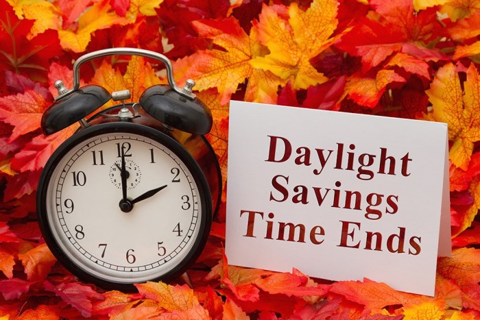 Daylight Savings Time 2025 End - Samiya Noor Daylight saving time change stop