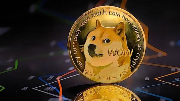 The 7 Reasons Dogecoin Will Never Succeed Doge grapples with leadership vacuum post musk departure