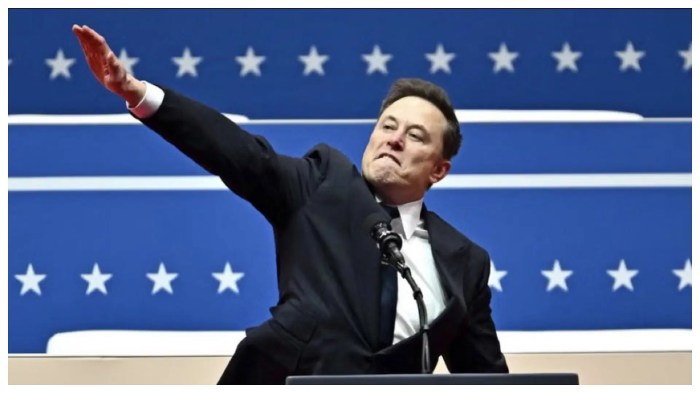 Elon Musk says right-wing AfD party is Germany's 'last spark of hope ... Alice weidel far right afd germany musk vance trump