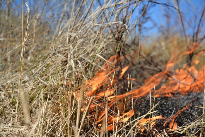 Texas Wildfires Map – wildfires in texas – wildland fire Wildfire alberta disrupts oil operations prompts evacuations