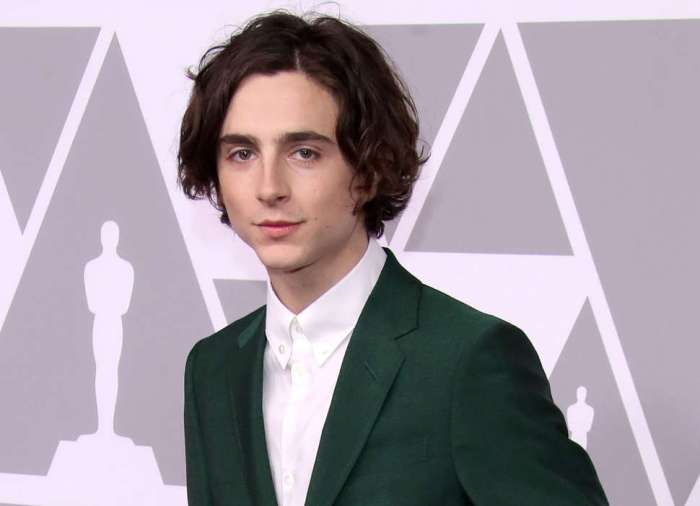 Timothée Chalamet Was A Slick-Haired, Photobombing Stud At The 2020 ... Timothee chalamet oscar campaign