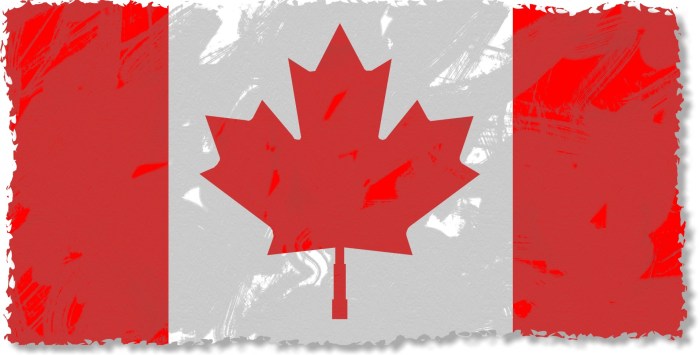 Ruba Ghazal wants QS to endorse pro-worker stance Canadian dollar hits eight month high market shrugs off record trade deficit