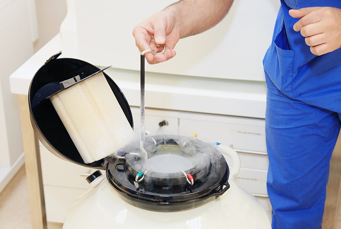 Freezing eggs, cryopreservation - women tell all Grief discarding frozen eggs