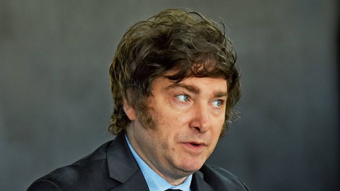 Is Argentina's New President Javier Milei a Man of the Globalists ... Milei meets pope leo confirms visit argentina
