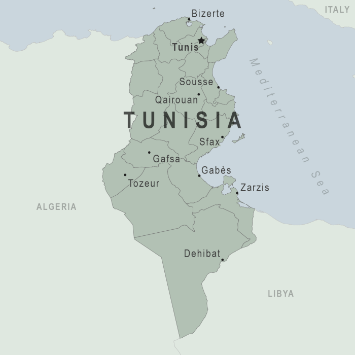 Tunisia, o tara de o frumusete aparte Tunisias central bank keeps key interest rate unchanged 75