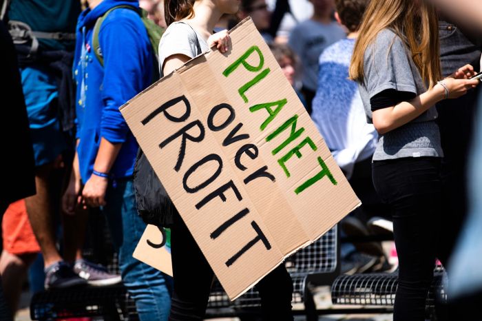 10 practical ways you can reduce climate change according to ai
