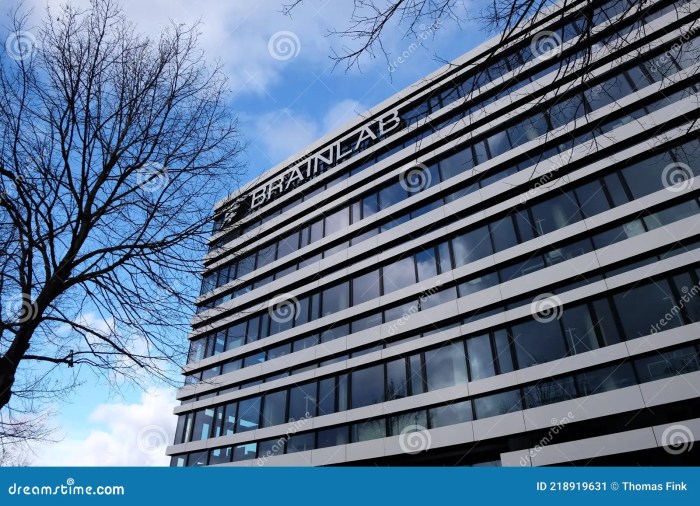 G Medical Innovations IPO Presentation Deck | Slidebook.io German medical tech firm brainlab plans frankfurt ipo coming weeks