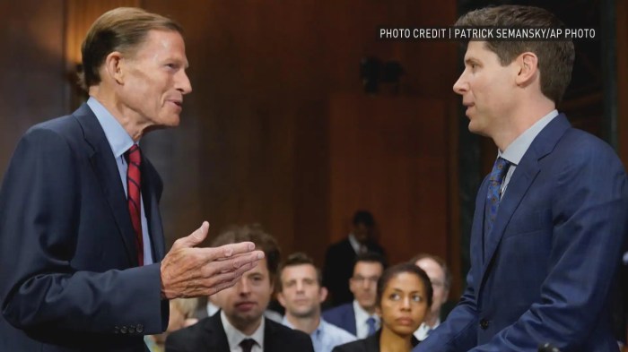 The inherent paradox of AI regulation Anthropic ceo says proposed 10 year ban state ai regulation too blunt nyt op ed