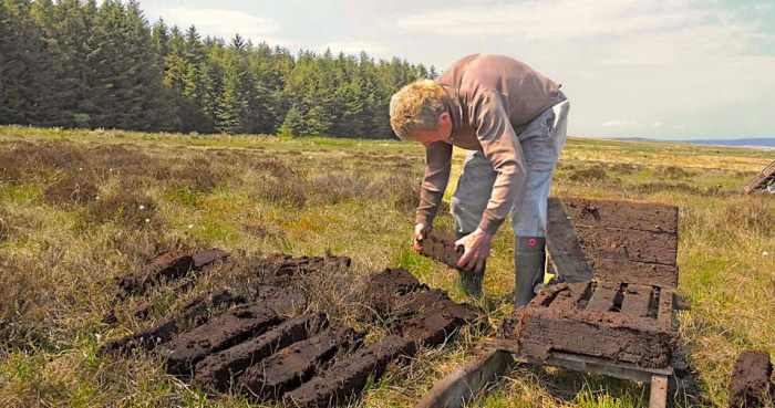 Raised Bogs in Ireland FactsheetIrish Peatland Conservation Council Irelands peat bogs climate action clashes with tradition