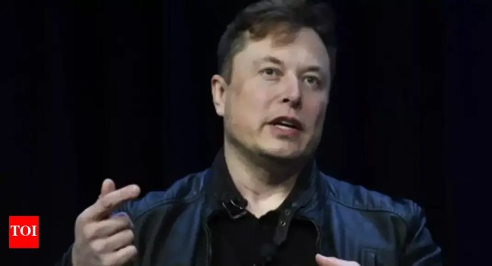 Elon Musk Is No Longer the World’s Richest Person, Falls Behind Bernard ... Elon musk implosion richest man
