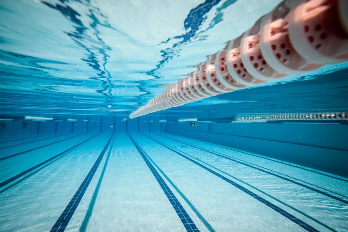 Swimming with ocean bacteria - The Secret Life Of Skin Swimming parasites water holes lakes bacteria