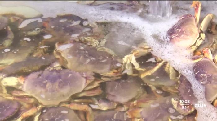 Closure of commercial fishery causes seafood price increase Tariffs drive up seafood prices us un trade agency says
