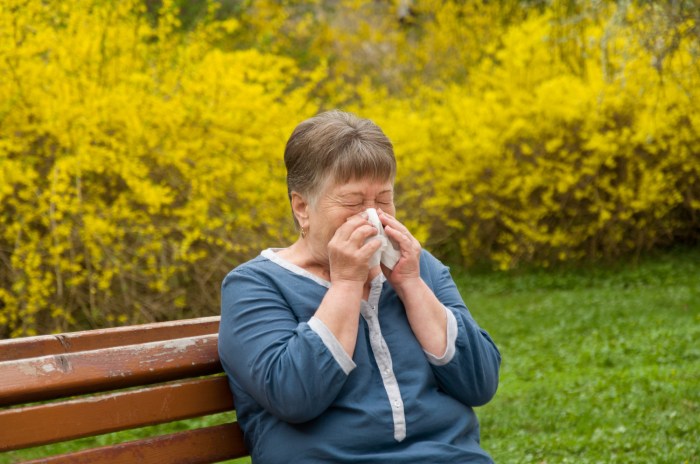 Worst hay fever season in years as scientists warn weather and climate ... How climate change is making hay fever worse