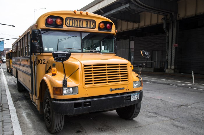 School Bus Free Stock Photo - Public Domain Pictures Bus accident leaves 11 dead 17 injured mexican state nuevo leon