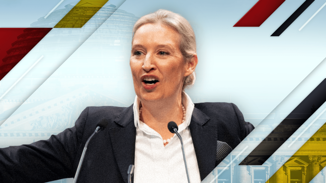 Elon Musk urges Germans to vote for AfD in latest involvement in ... Alice weidel far right afd germany musk vance trump