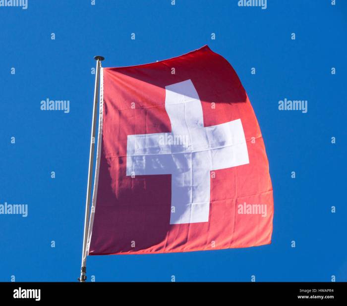 Swiss solar panel maker meyer burger files insolvency german subsidiaries