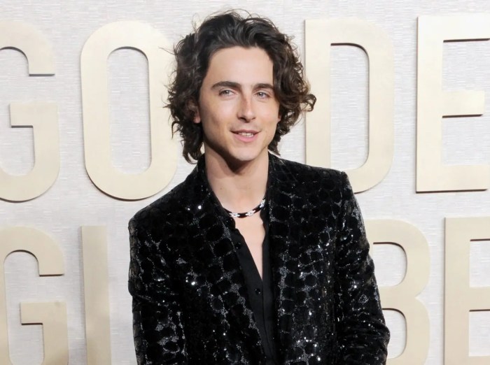 Oscar Contenders Hit the Awards Circuit in Santa Barbara, See Videos ... Timothee chalamet oscar campaign