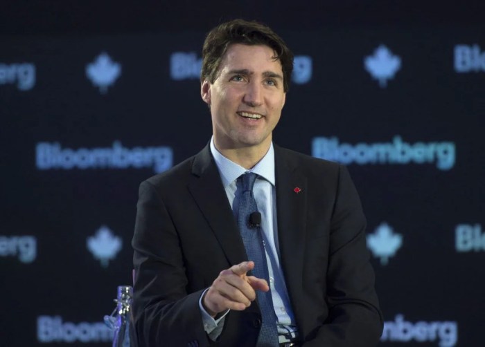 Ex-ambassador: How Trump treats Canada is 'definition of insanity' Trump carney canada visit