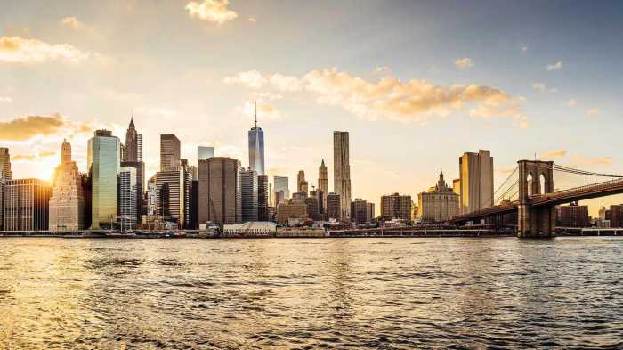 Us fda places clinical hold rocket pharmas gene therapy trial